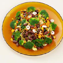 Top Garbage Disposal Cleaners to Keep Your Kitchen Fresh