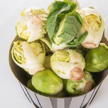 Instant Pot Unveiled: Your Ultimate Guide to Smart Cooking