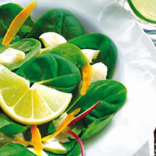 Toaster Oven Magic: Easy Make-Ahead Meals for Busy Days